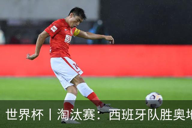 世界杯丨淘汰赛：西班牙队胜奥地利队