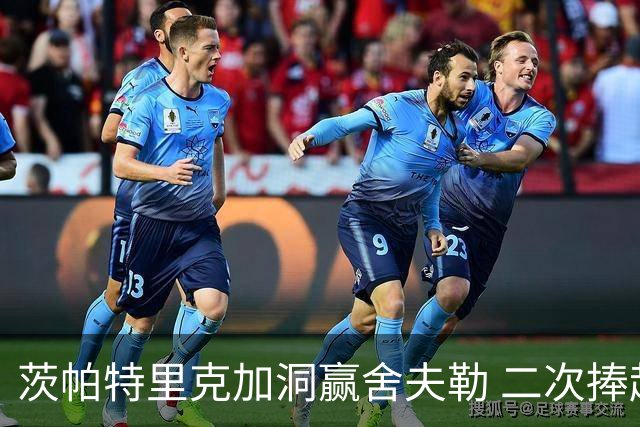 茨帕特里克加洞赢舍夫勒 二次捧起RBC传承赛奖杯