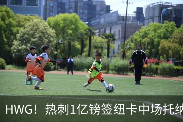 HWG！热刺1亿镑签纽卡中场托纳利 今夏1.85亿镑签2中场